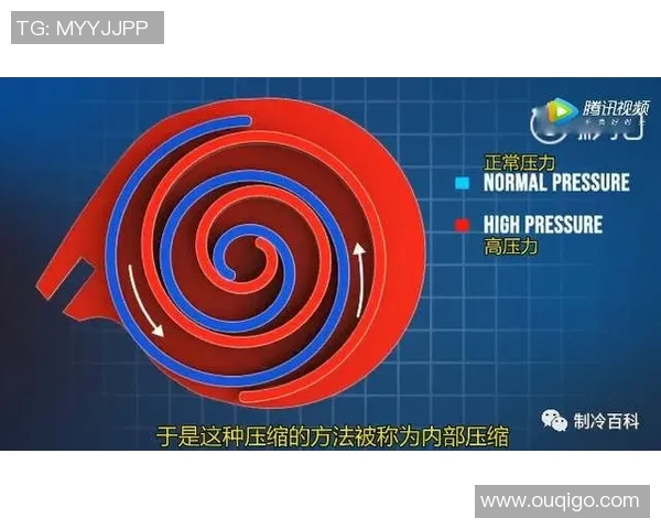 必一运动结构构成的理论分析与实际应用探讨